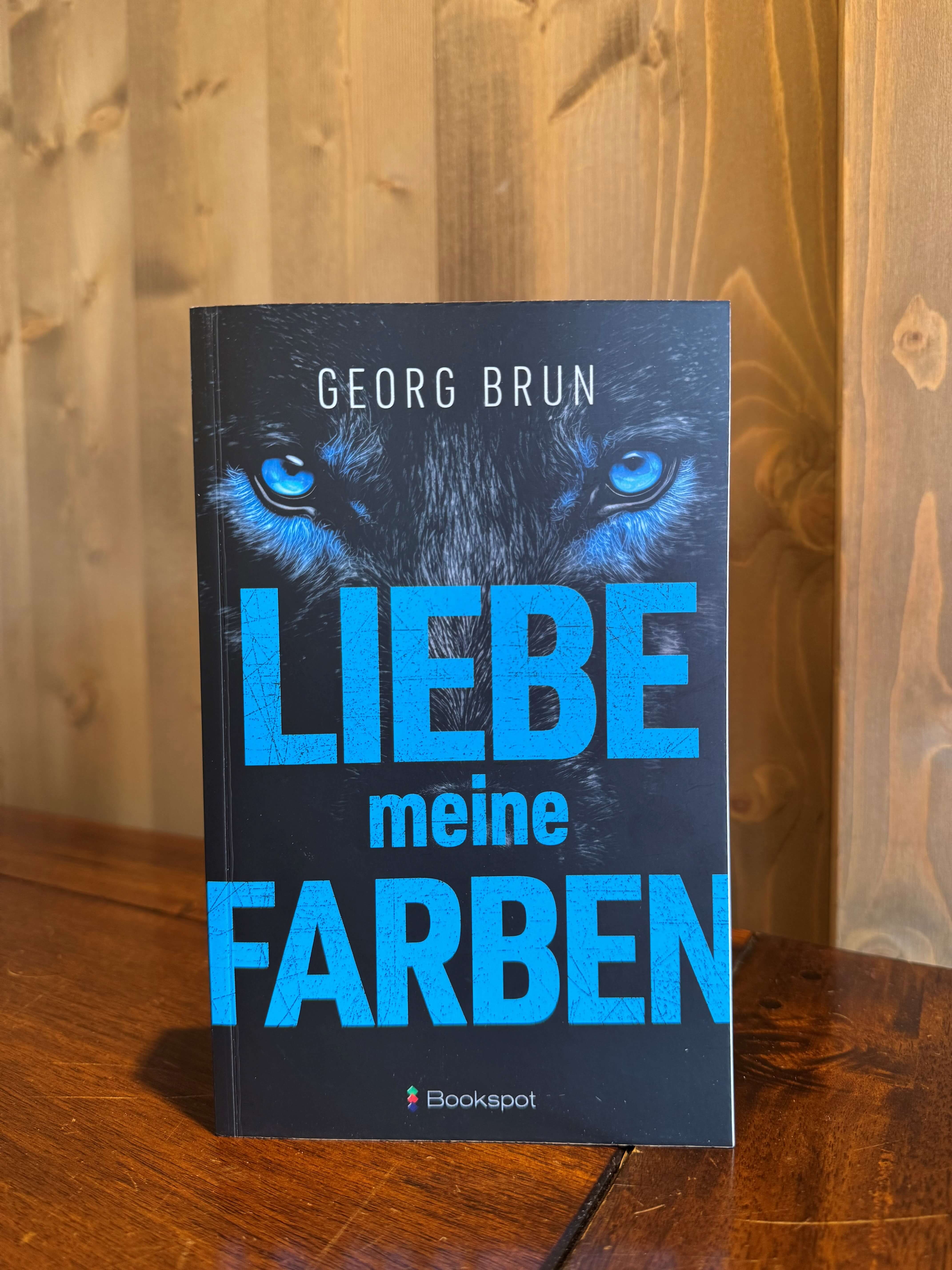 Liebe meine Farben, ein Bodensee-Krimi